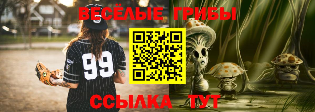Псилоцибиновые грибы Psilocybe Сальск
